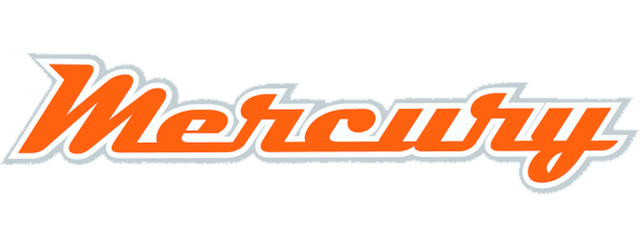 Phoenix Mercury artwork 2