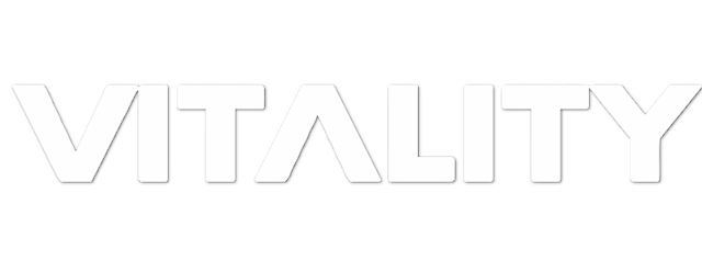 Team Vitality artwork 2