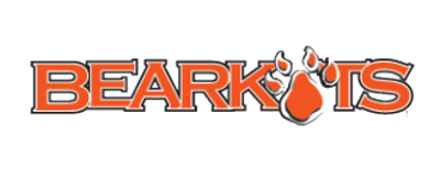 Sam Houston State artwork 2