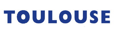 Toulouse Olympique artwork 2