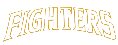 Hokkaido Nippon-Ham Fighters artwork 2