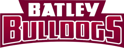 Batley Bulldogs artwork 2