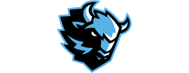 Dinamo Minsk artwork 2