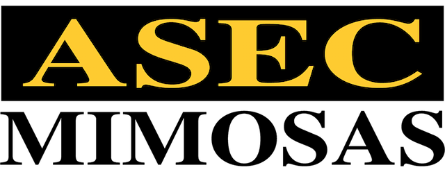 ASEC Mimosas artwork 2