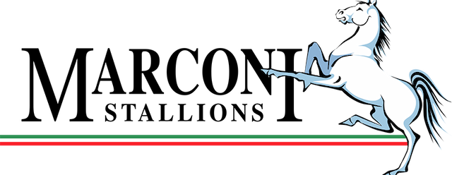 Marconi Stallions artwork 2