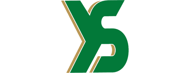 Yverdon Sport artwork 2