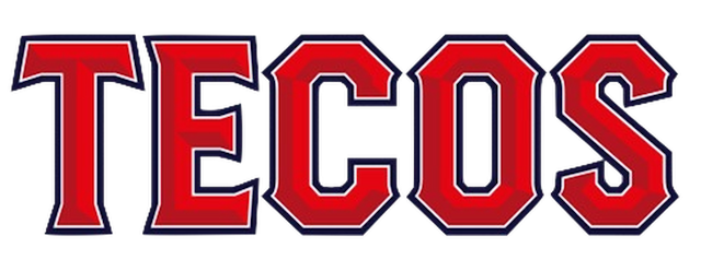 Tecolotes de los Dos Laredos artwork 2