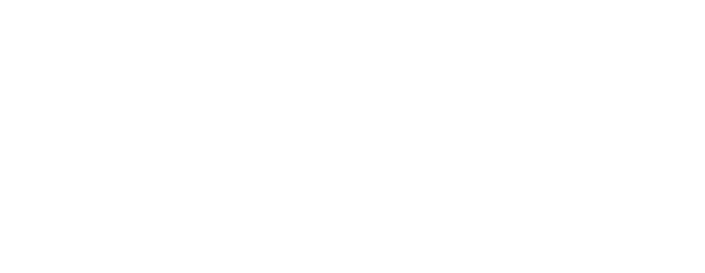 Blue Bulls artwork 2
