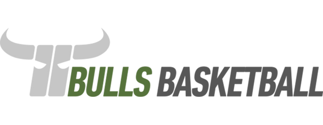 Kapfenberg Bulls artwork 2