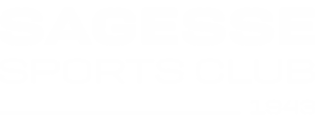 Sagesse SC artwork 2