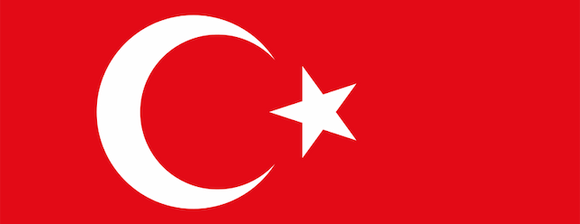 Turkey Women artwork 2