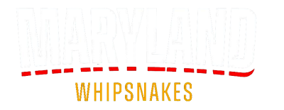 Whipsnakes Lacrosse Club artwork 2