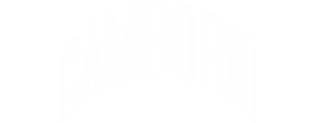 Camboriú SC artwork 2