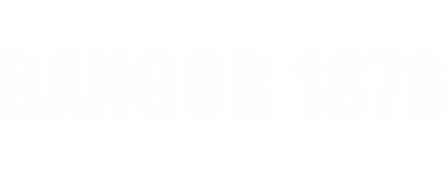 Bangor 1876 artwork 2