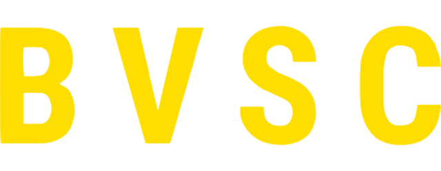 Budapesti VSC artwork 2