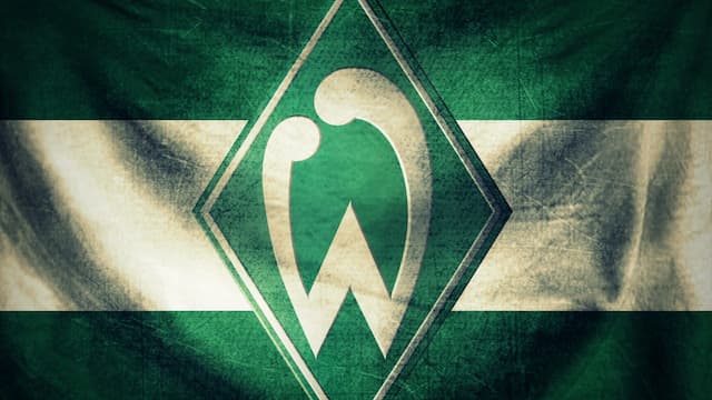Werder Bremen artwork 5