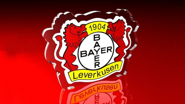 Leverkusen artwork 5
