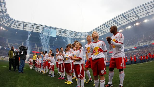 New York Red Bulls artwork 5