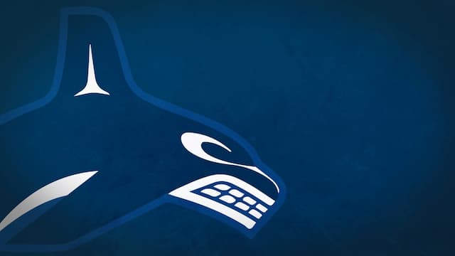 Vancouver Canucks artwork 5