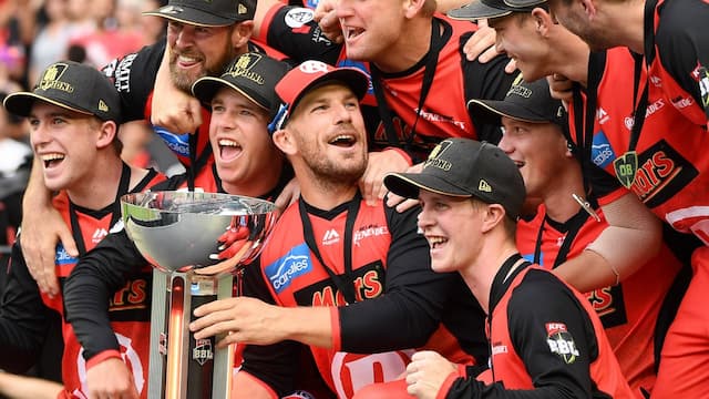 Melbourne Renegades artwork 5