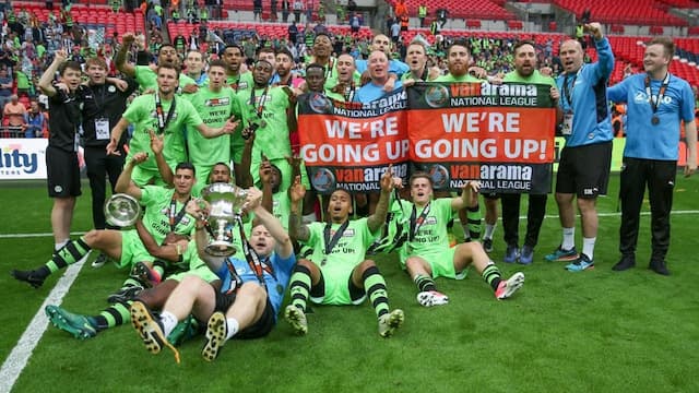 Forest Green Rovers artwork 5