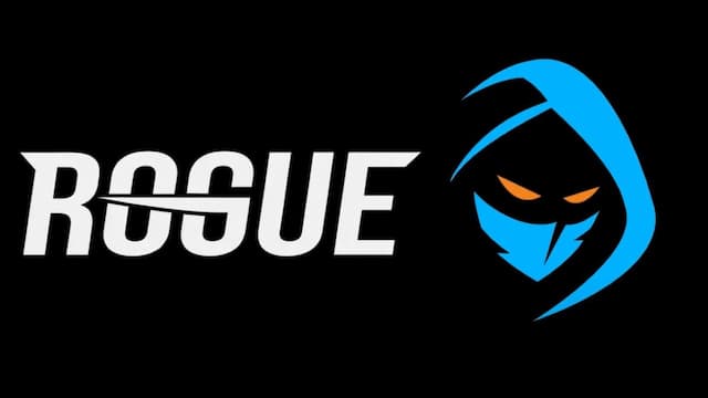 Rogue (esports) artwork 5
