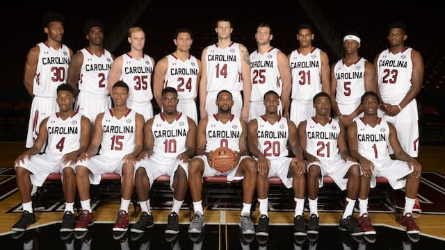 South Carolina artwork 5