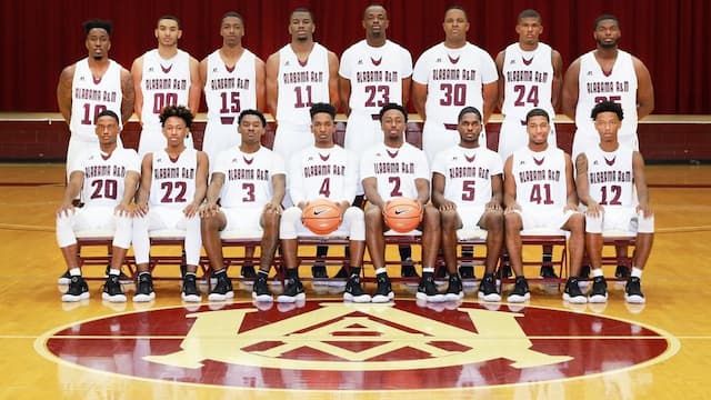 Alabama A and M artwork 5