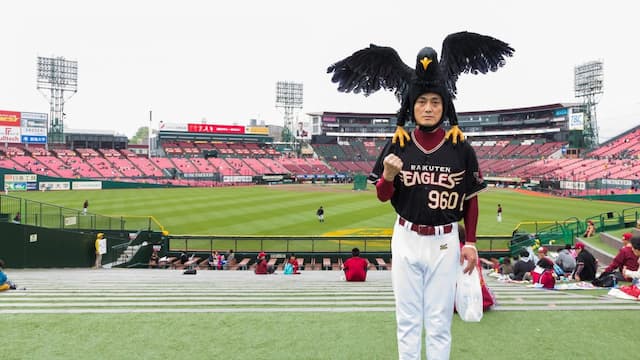 Tohoku Rakuten Golden Eagles artwork 5