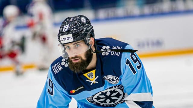 Sibir Novosibirsk artwork 5