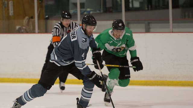 Auckland Mako artwork 2