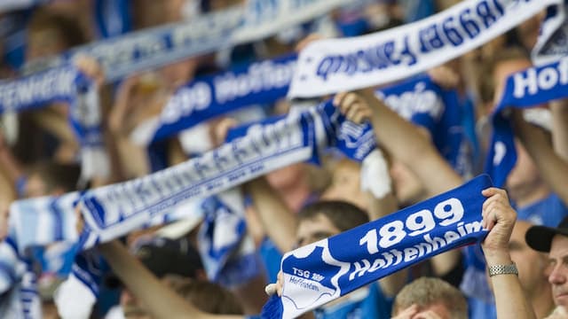 Hoffenheim artwork 6