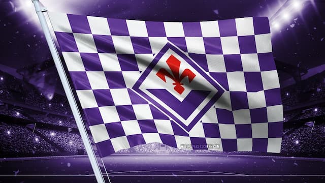 Fiorentina artwork 6