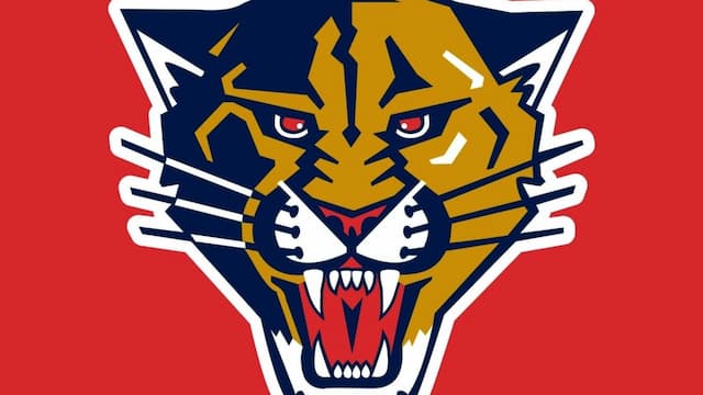 Florida Panthers artwork 6