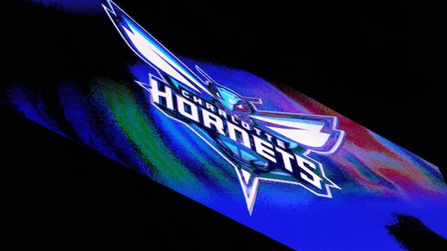 Charlotte Hornets artwork 6