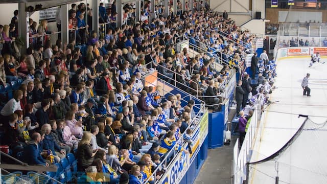 Fife Flyers artwork 6