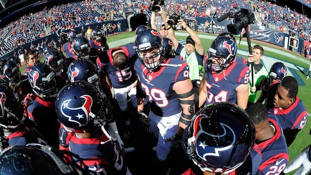 Houston Texans artwork 6