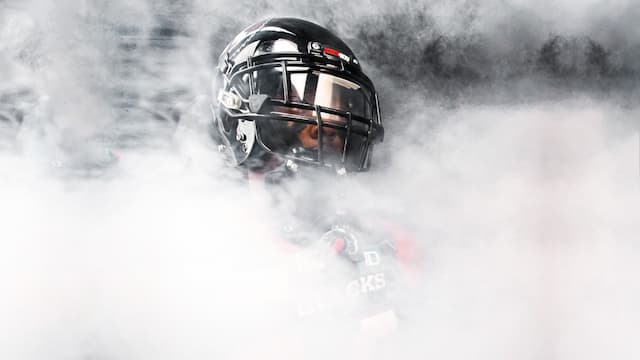 Ottawa Redblacks artwork 6