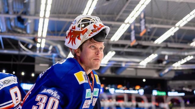 Växjö Lakers artwork 6