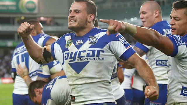 Canterbury Bankstown Bulldogs artwork 6