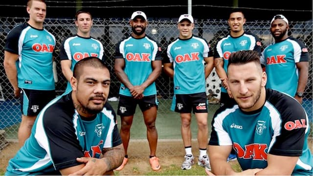 Penrith Panthers artwork 6