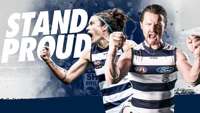 Geelong Football Club artwork 6