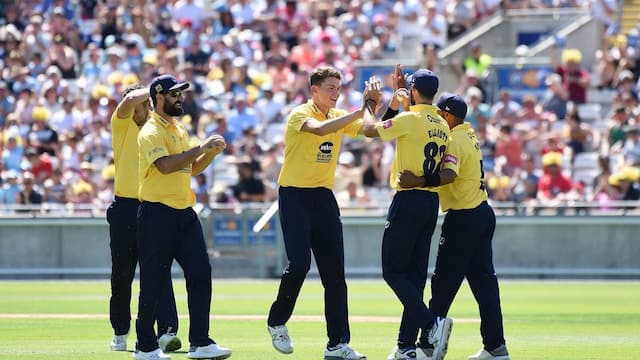 Birmingham Bears artwork 6