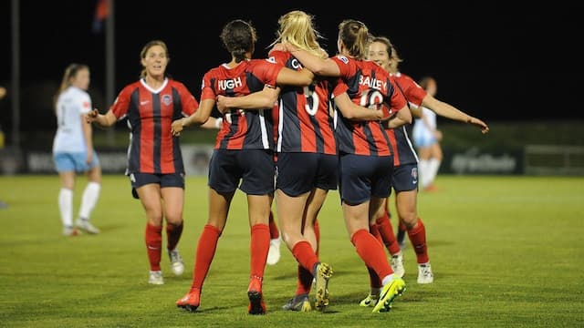 Washington Spirit artwork 6