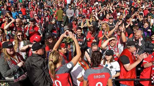 Portland Thorns artwork 6