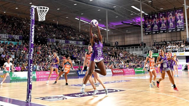 Queensland Firebirds artwork 6