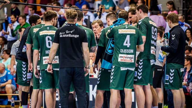 Füchse Berlin artwork 6