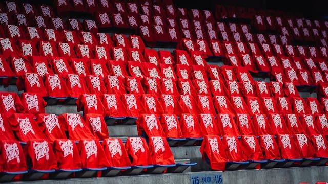 Antwerp Giants artwork 6