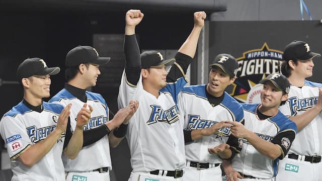 Hokkaido Nippon-Ham Fighters artwork 6