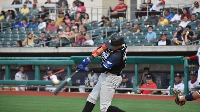 Generales de Durango artwork 6